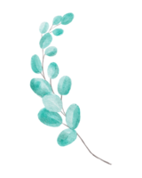 Watercolor branch with leaves png