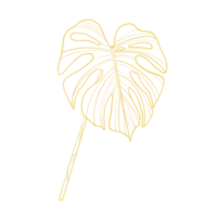 guld översikt illustration med tropisk blad png