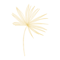 Gold outline illustration with tropical leaf png