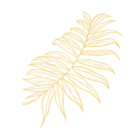 Gold outline illustration with tropical leaf png