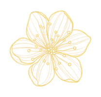 Gold outline illustration with spring flower png