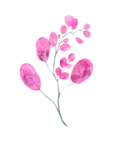 vattenfärg rosa gren png