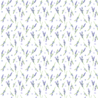 ritad för hand vattenfärg illustration. sömlös blommig mönster med lavendel- blommor. blommig bakgrund png