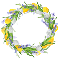 Hand-drawn watercolor illustration. Beautiful wreath with white and yellow tulips and lavender png