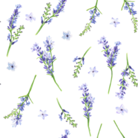 Hand-drawn watercolor illustration. Seamless floral pattern with lavender flowers. Floral background png
