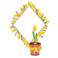 Hand-drawn watercolor illustration. Thin rhombus double frame with golden texture and spring flowers. Yellow tulips and pussy-willow branches and flowerpot with yellow tulip png