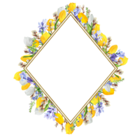 hand getekend waterverf illustratie. dun ruit dubbele kader met gouden structuur en voorjaar bloemen. geel en wit tulpen, lavendel en pussy-wilg takken png