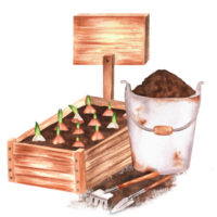 Hand-drawn watercolor illustration. A wooden garden crate with planted tulip bulbs, garden rake, shovel and rusty bucket with soil and wooden tablet png