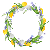 Hand-drawn watercolor illustration. Beautiful wreath with white and yellow tulips and lavender png