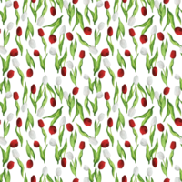 Hand-drawn watercolor illustration. Seamless floral pattern with red and white tulips in random order png
