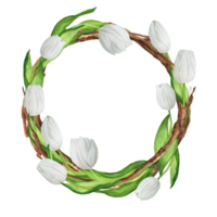 Hand-drawn watercolor illustration. Beautiful wreath with white tulips and twigs png