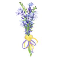Hand-drawn watercolor illustration. Spring lavender bouquet with ribbon and bow and small heart. Valentine holiday gift png