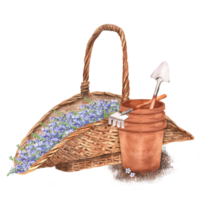 Hand-drawn watercolor illustration. Wicker basket with blue lavender flowers. Rustic scene with lavender, flowerpots, rake and trowel png