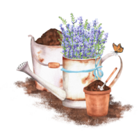 disegnato a mano acquerello illustrazione. rustico scena con un' irrigazione può con lavanda, vaso di fiori, secchio pieno di suolo e giardino utensili e farfalla png