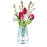 Hand-drawn watercolor illustration. Flower bouquet with white and red tulips, pussy-willow branches and green leaves. Spring Easter bouquet in a glass vase png