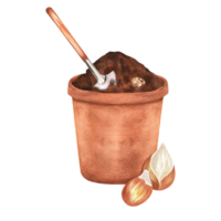 Hand-drawn watercolor illustration. Terracotta flowerpot with soil, shovel and some bulbs to plant png