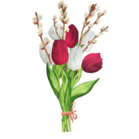 ritad för hand vattenfärg illustration. blomma bukett med vit och röd tulpaner, fitta-pil grenar och grön löv. vår påsk bukett png