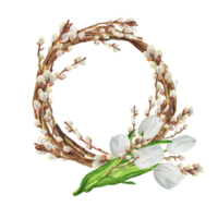 dessiné à la main aquarelle illustration. magnifique printemps couronne avec saule branches et floral bouquet avec blanc tulipes et saule branches png