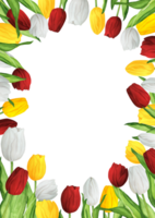 Hand-drawn watercolor illustration. Rectangular frame with colorful red, white and yellow tulips for printing design png