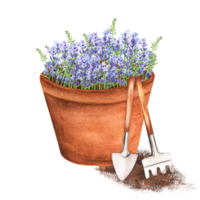 dibujado a mano acuarela ilustración. en conserva lavanda con jardín herramientas - pala y rastrillo. terracota maceta con hermosa lavanda png