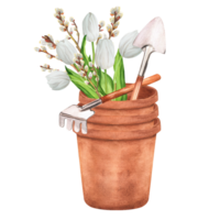 Hand-drawn watercolor illustration. Flowerpots with garden tools - rakes and shovels and floral bouquet with white tulips and pussy-willow branches png