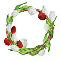 Hand-drawn watercolor illustration. Beautiful wreath with red and white tulips and twigs png