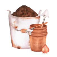 Hand-drawn watercolor illustration. Rusty metallic garden bucket full of soil and flowerpots with garden tools - rakes and shovels png