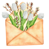 Hand-drawn watercolor illustration. Vintage envelope with white tulips and pussy-willow branches png