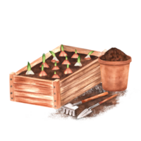 Hand-drawn watercolor illustration. A wooden garden crate with planted tulip bulbs, garden rake, spade and a pot with soil png
