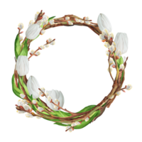 Hand-drawn watercolor illustration. Beautiful wreath with white tulips and willow branches png