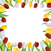 Hand-drawn watercolor illustration. Square frame with colorful red, white and yellow tulips for printing design png