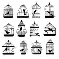 Birds in cage silhouettes, avian animals vector