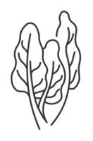 Drawing of spinach, leaves and stems ingredient vector