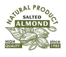 Salted almond, natural product banner promotion vector