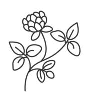 Flourishing flower, branch with leaves and stem vector