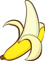 banan friut färsk png