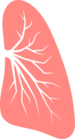 pulmões órgão pneumonia png