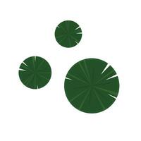 Lily pad icon. Lily cartoon vector on white background.