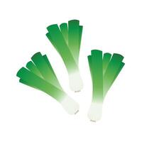 Spring onions vector. Spring onions on white background. vector