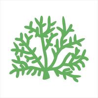 Algae plant abstract vector element