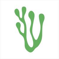 Algae plant abstract vector element