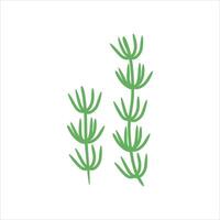 Algae plant abstract vector element