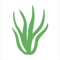 Algae plant abstract vector element