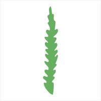 Algae plant abstract vector element