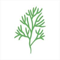 Algae plant abstract vector element