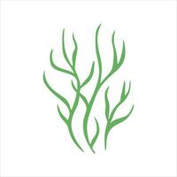 Algae plant abstract vector element