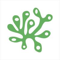 Algae plant abstract vector element