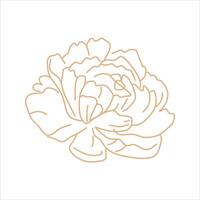 Outline beige abstract floral vector element