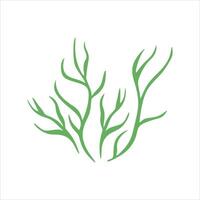 Algae plant abstract vector element