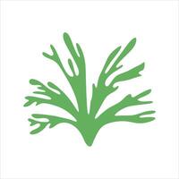 Algae plant abstract vector element